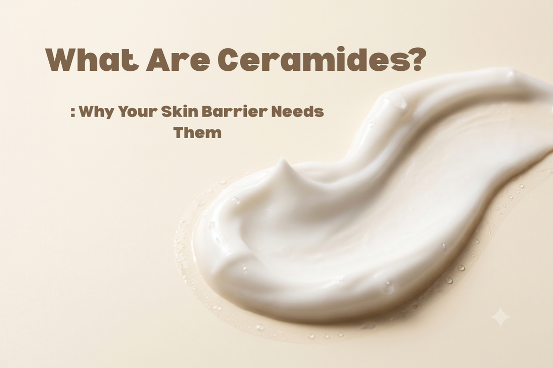 Ceramides Explained: Why Your Skin Barrier Needs Them