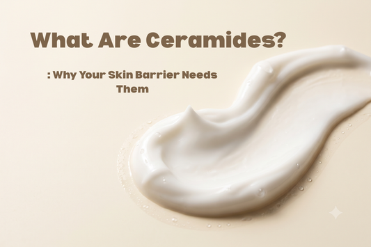 Ceramides Explained: Why Your Skin Barrier Needs Them